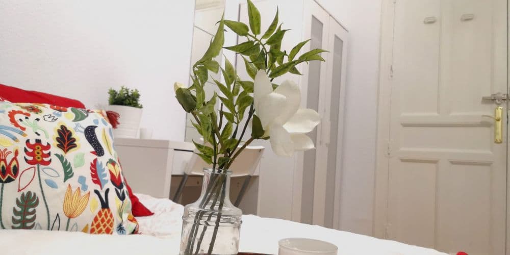 Private room in Madrid photo 4