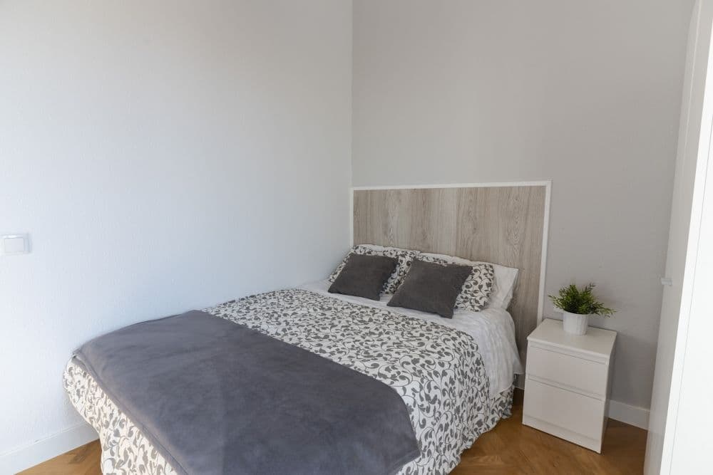 Private room in Madrid photo 2