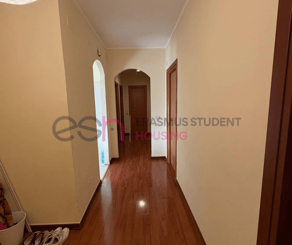 Shared Room in Rome photo 5