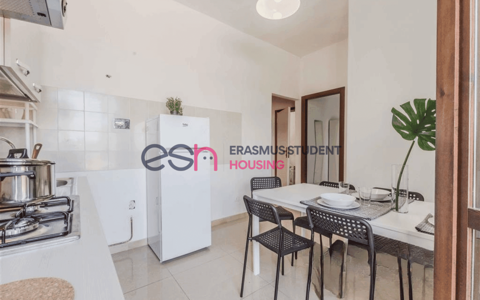 Shared Room in Pisa photo 2