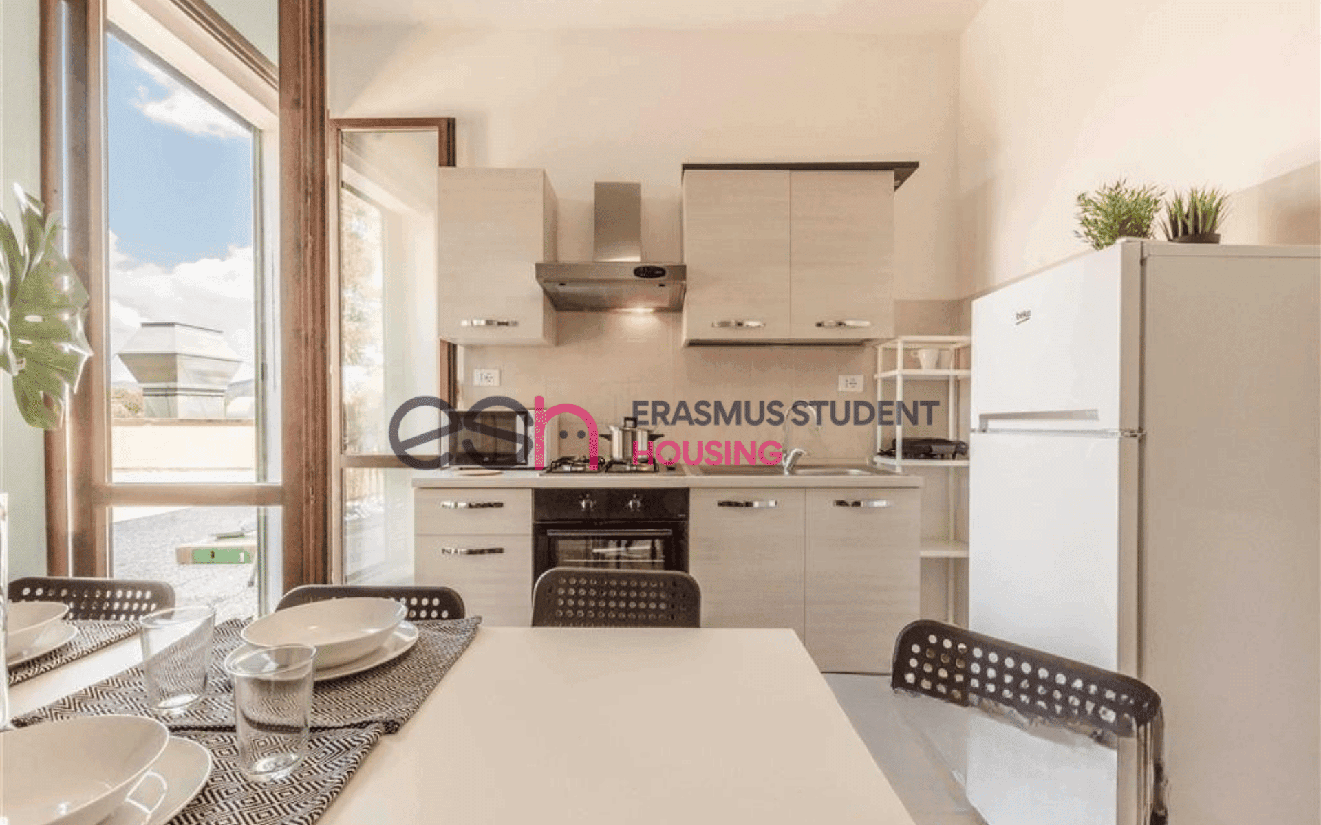 Shared Room in Pisa photo 4