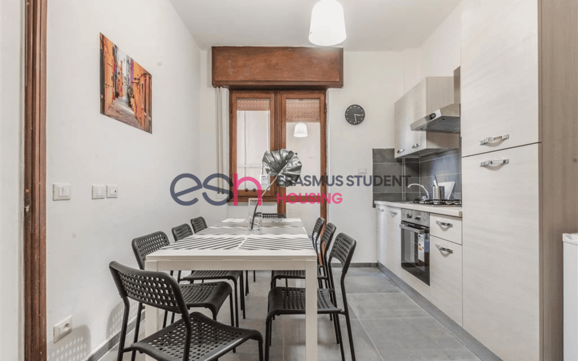 Shared Room in Pisa photo 3