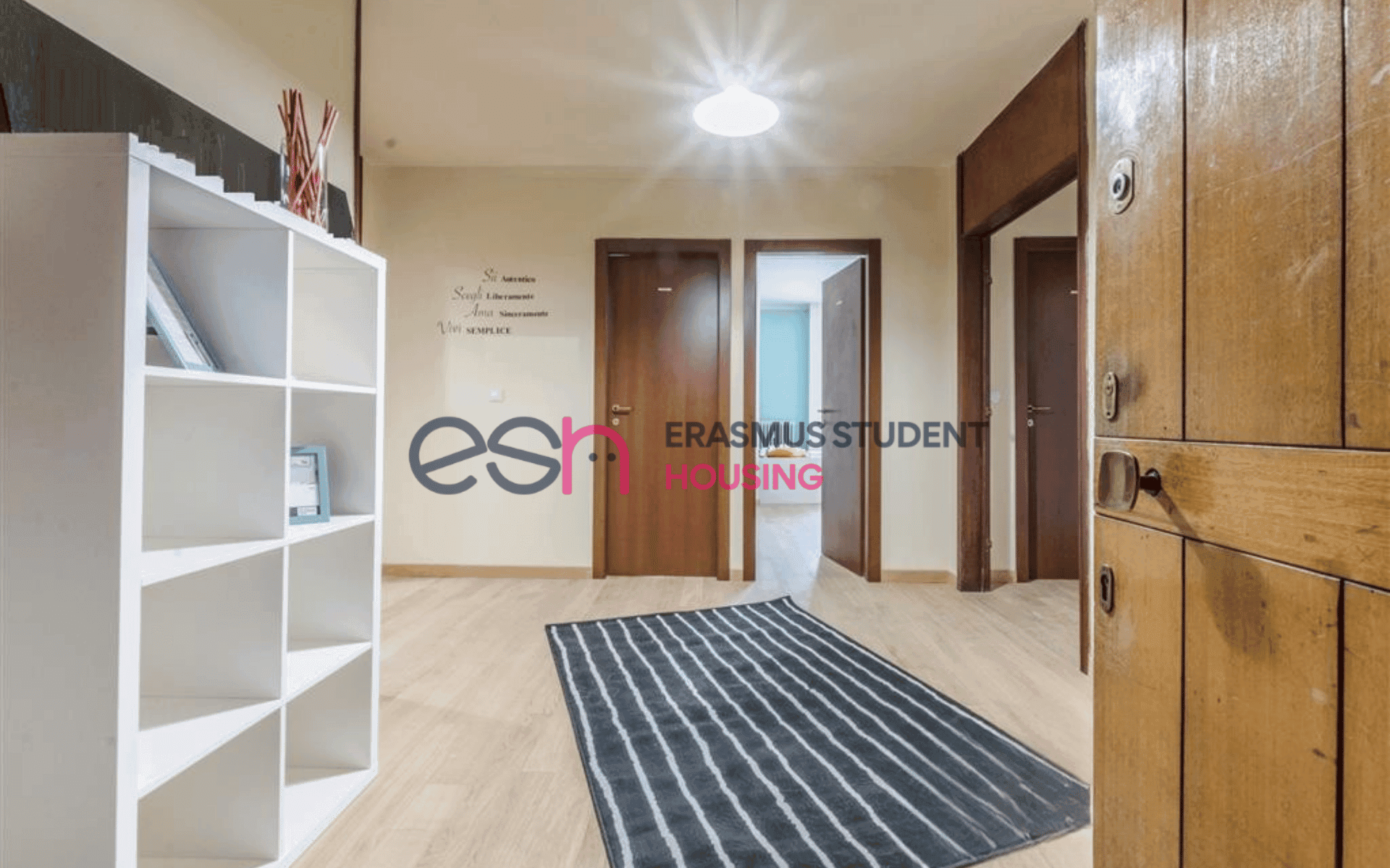 Shared Room in Pisa photo 5