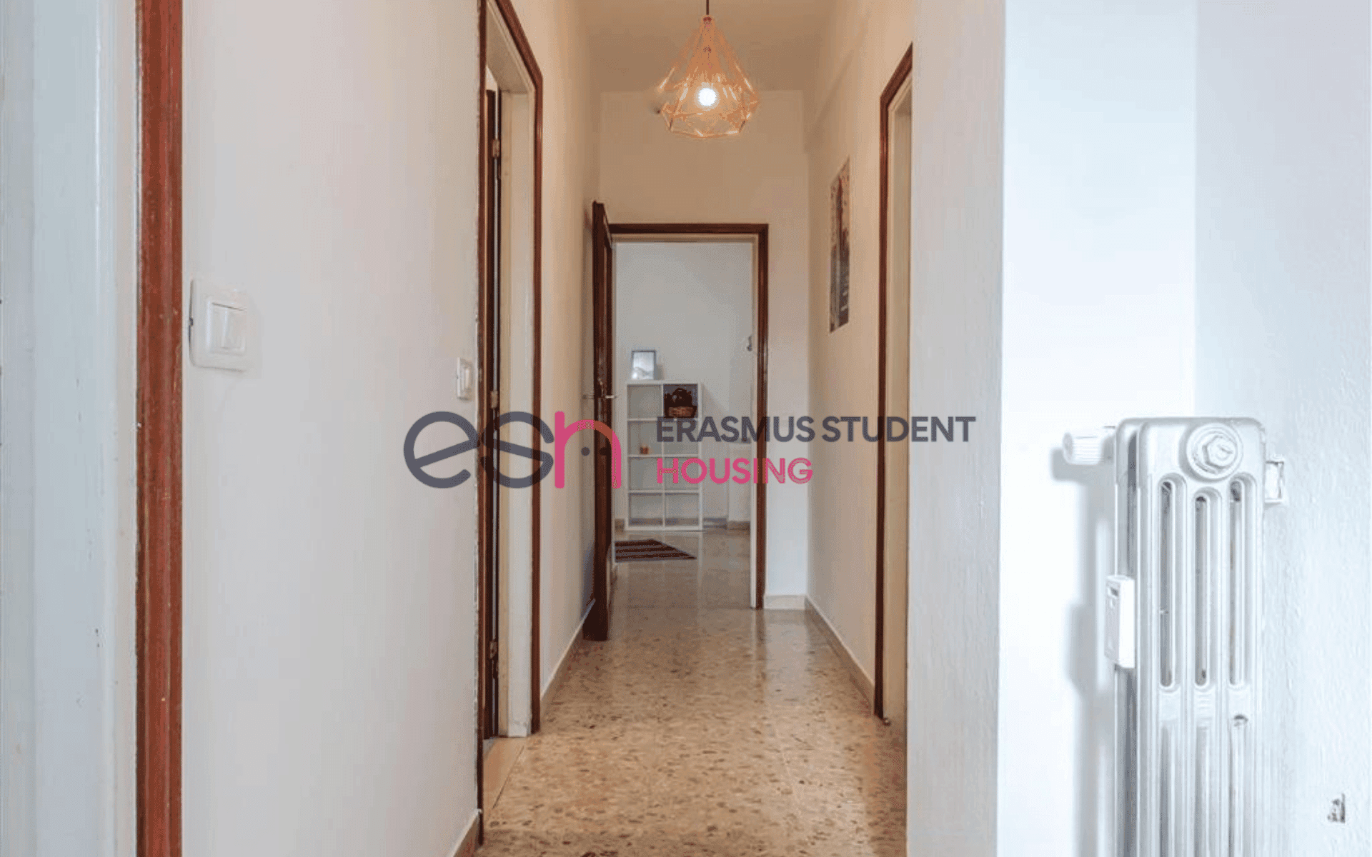 Shared Room in Pisa photo 5