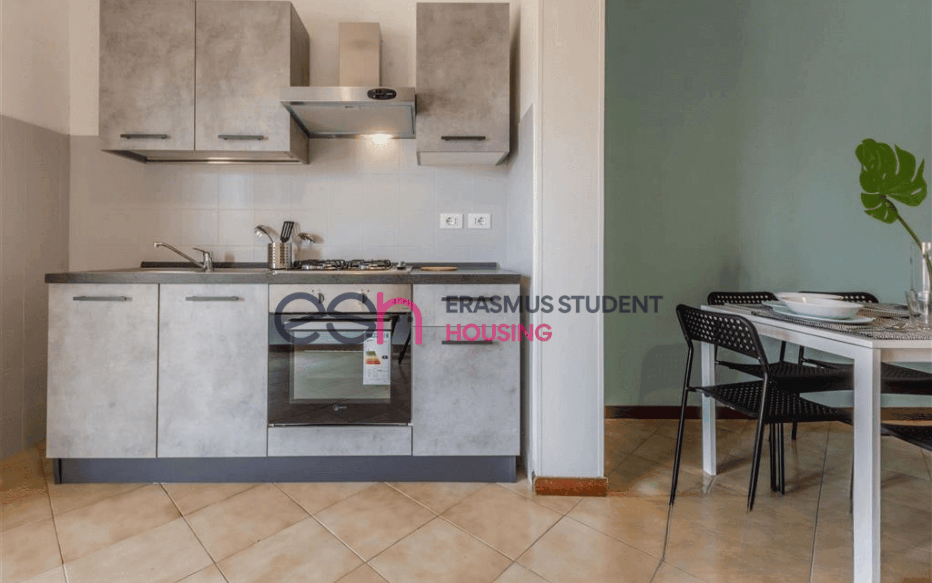 Shared Room in Pisa photo 4