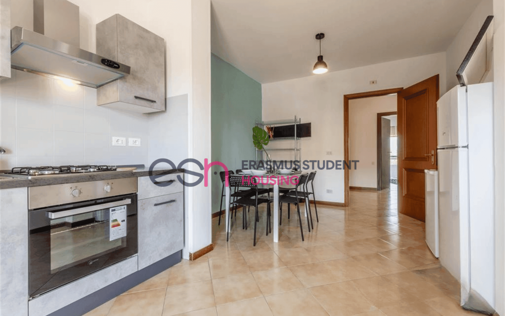 Shared Room in Pisa photo 5