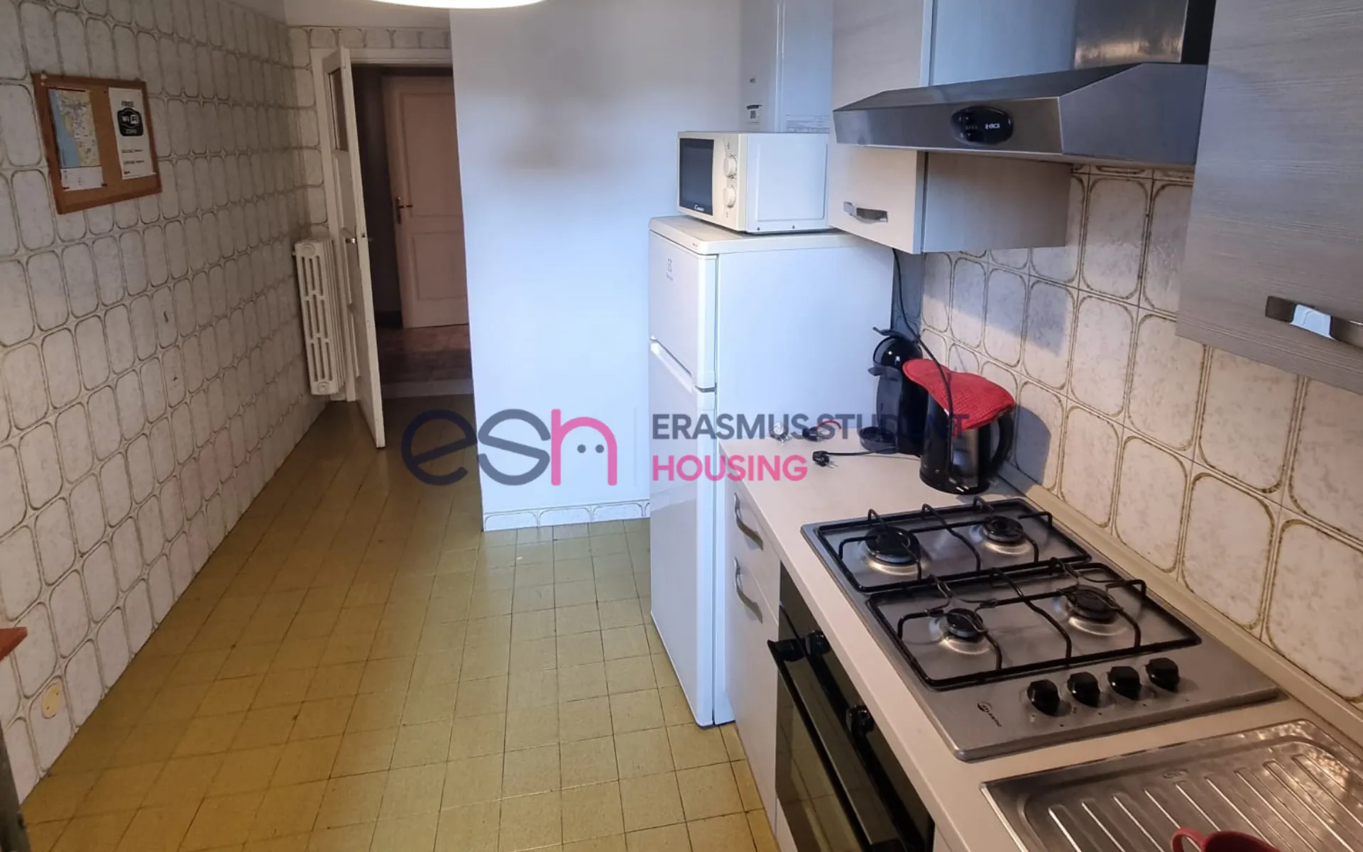 Shared Room in Pisa photo 5