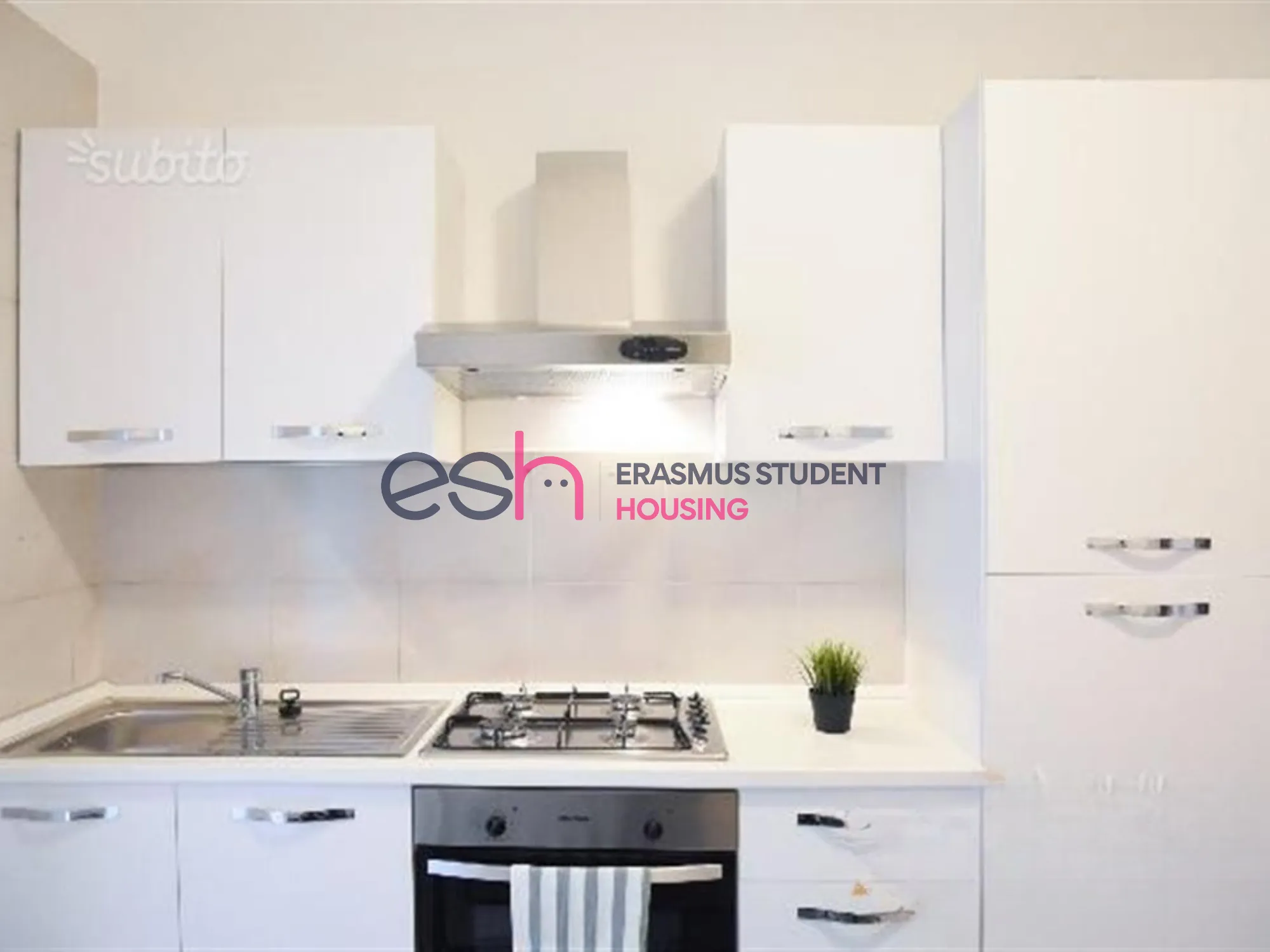 Stanza privata a Pisa photo 4