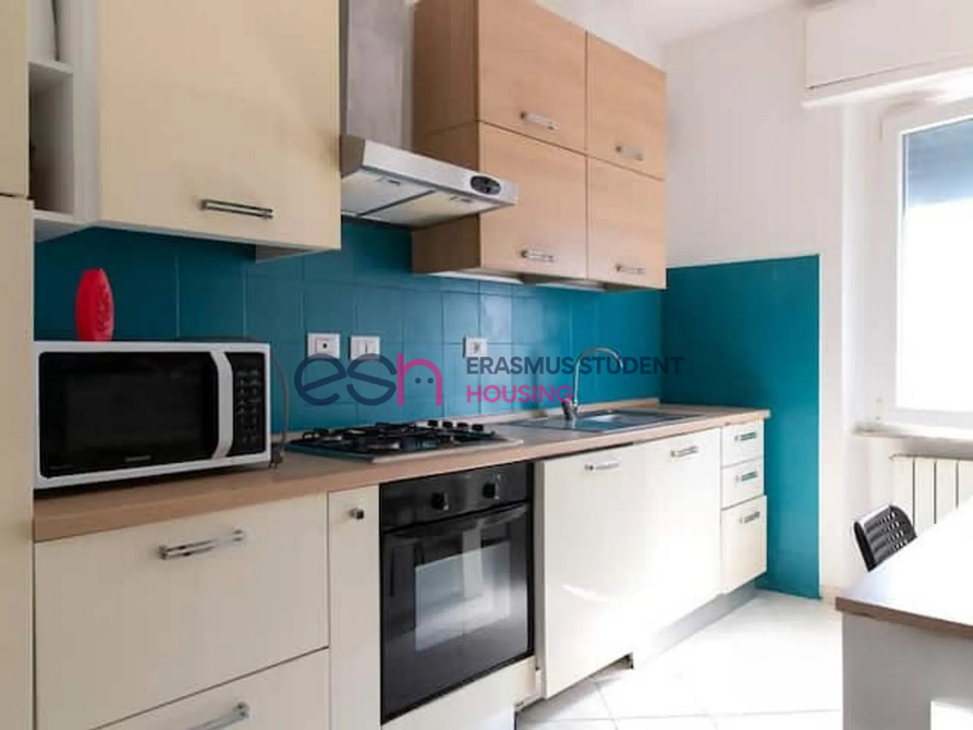 Apartment in Pisa photo 2