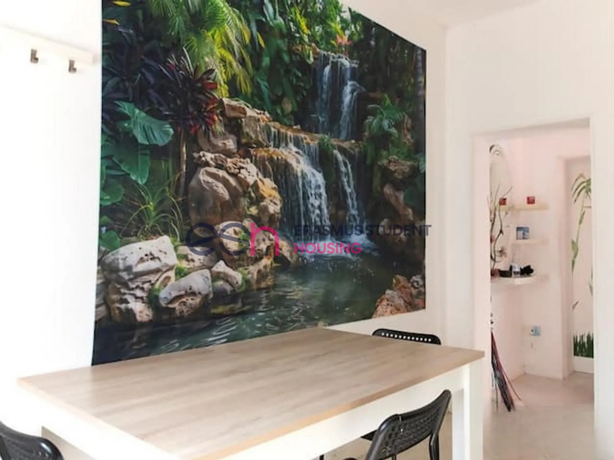 Apartment in Pisa photo 3