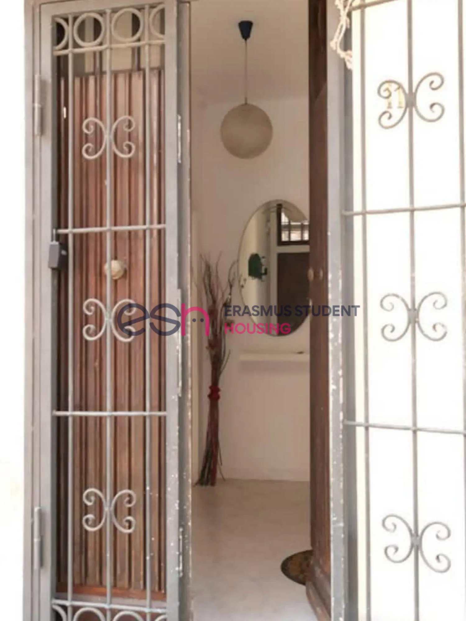 Apartment in Pisa photo 5