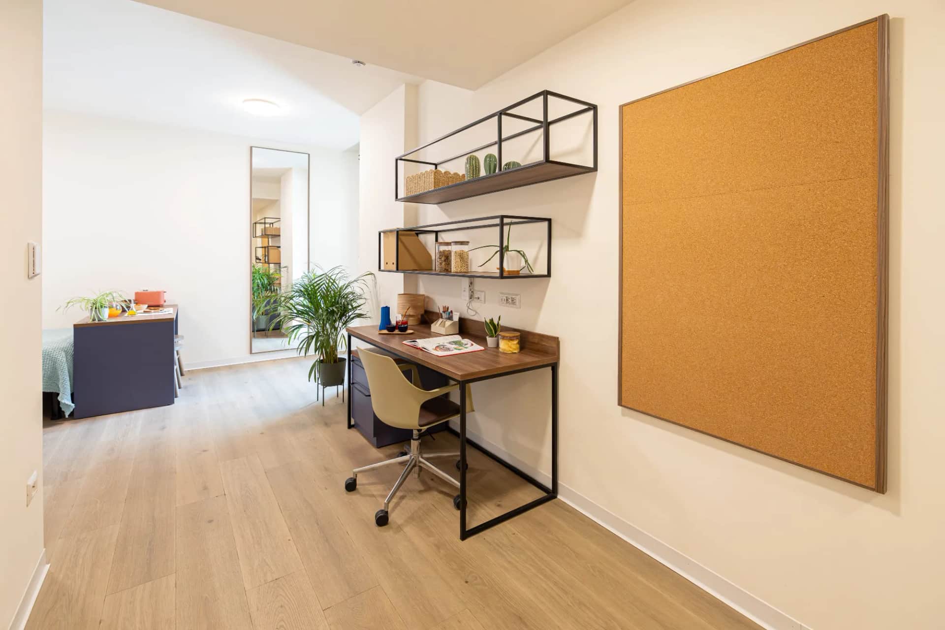 Accessible Deluxe Studio