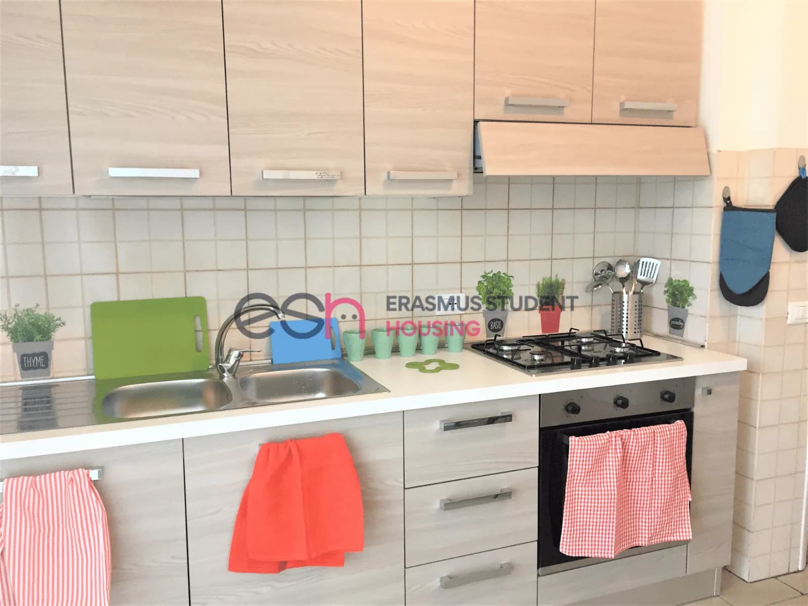 Private room in Florence photo 5