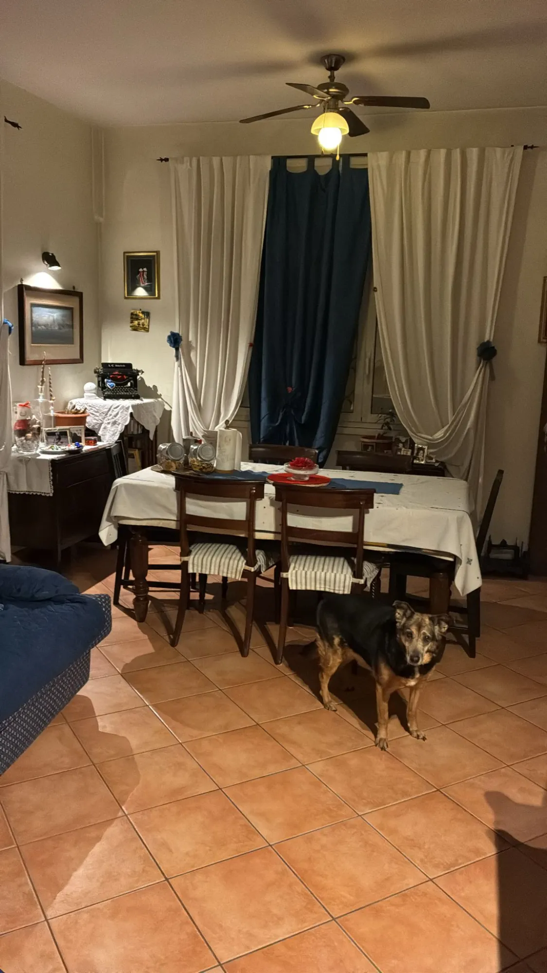 Stanza privata a Rome photo 4