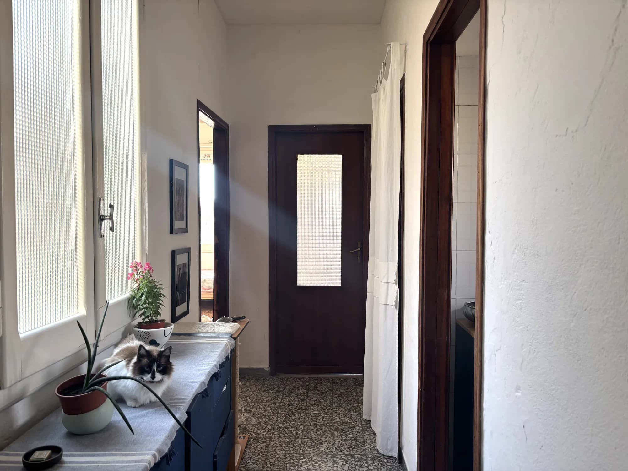 Private room in Cagliari photo 4