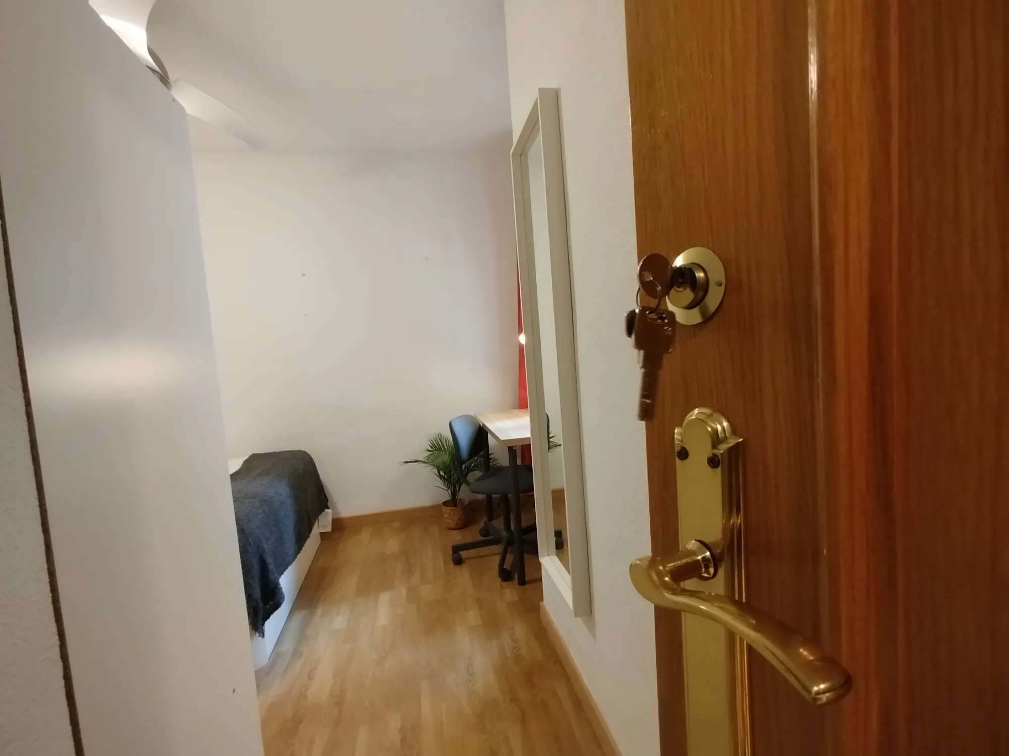 Private room in Madrid photo 4