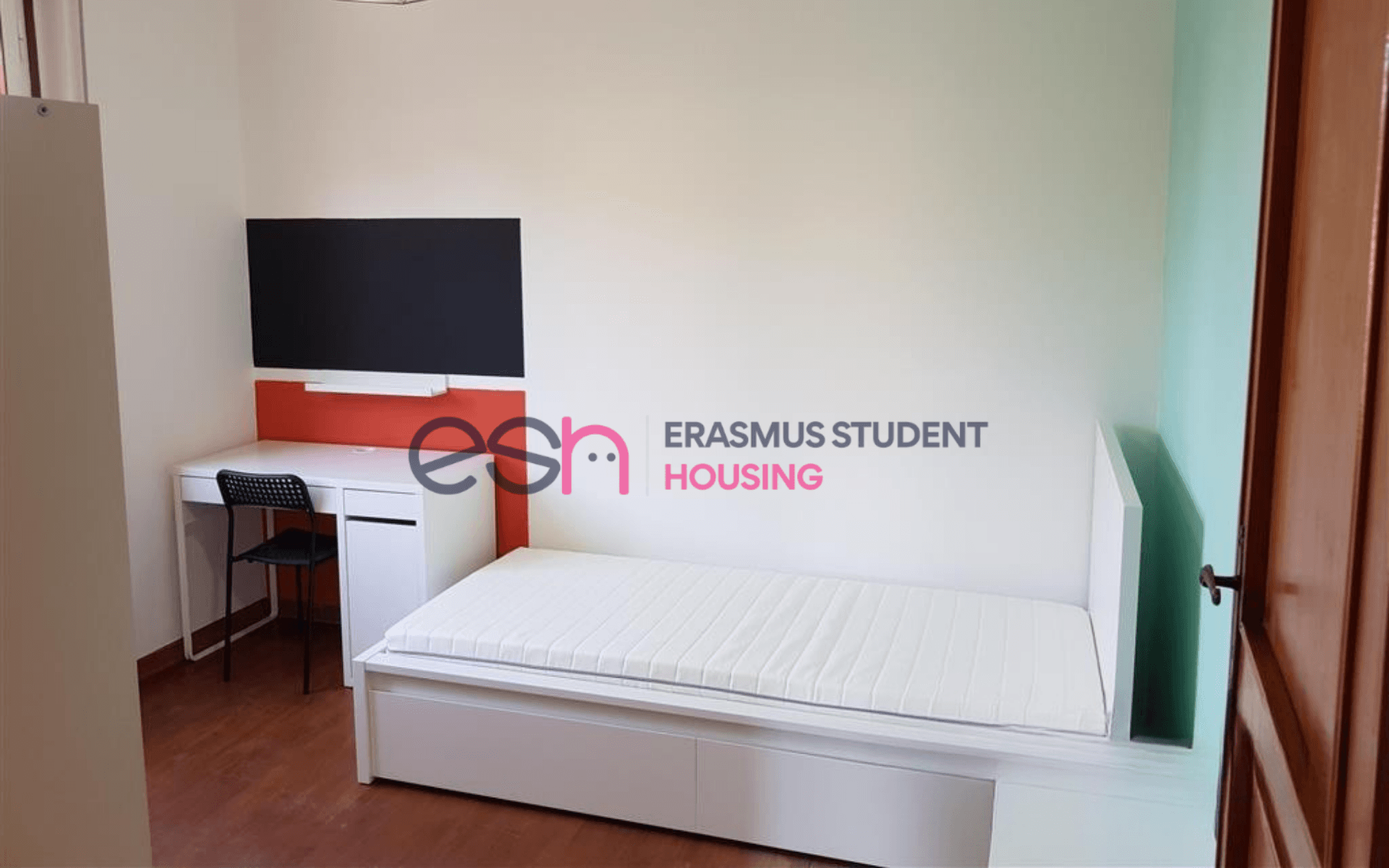 Shared Room in Pisa photo 3