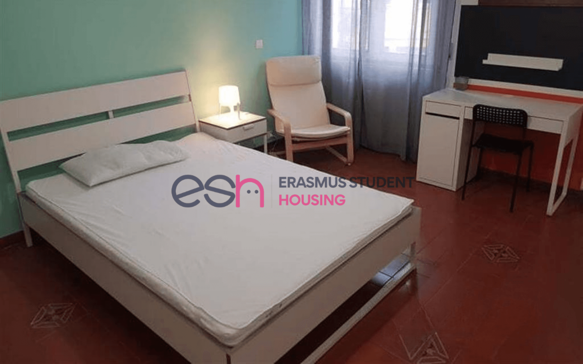 Shared Room in Pisa photo 4