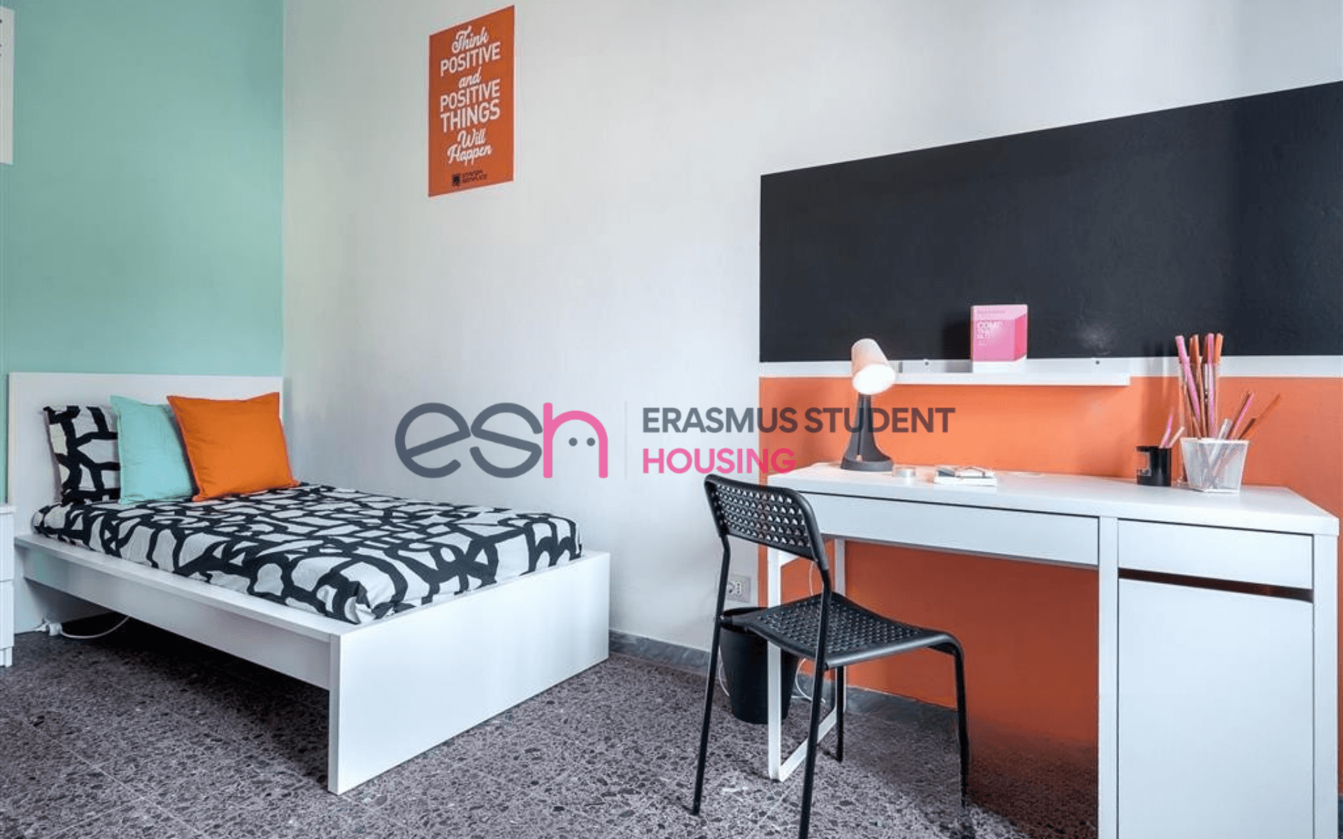 Shared Room in Pisa photo 2