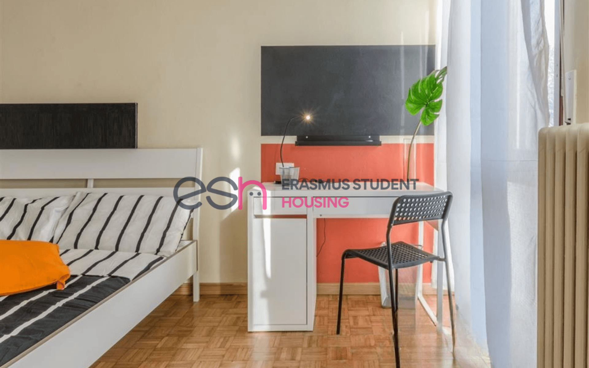 Habitación privada en Pisa
