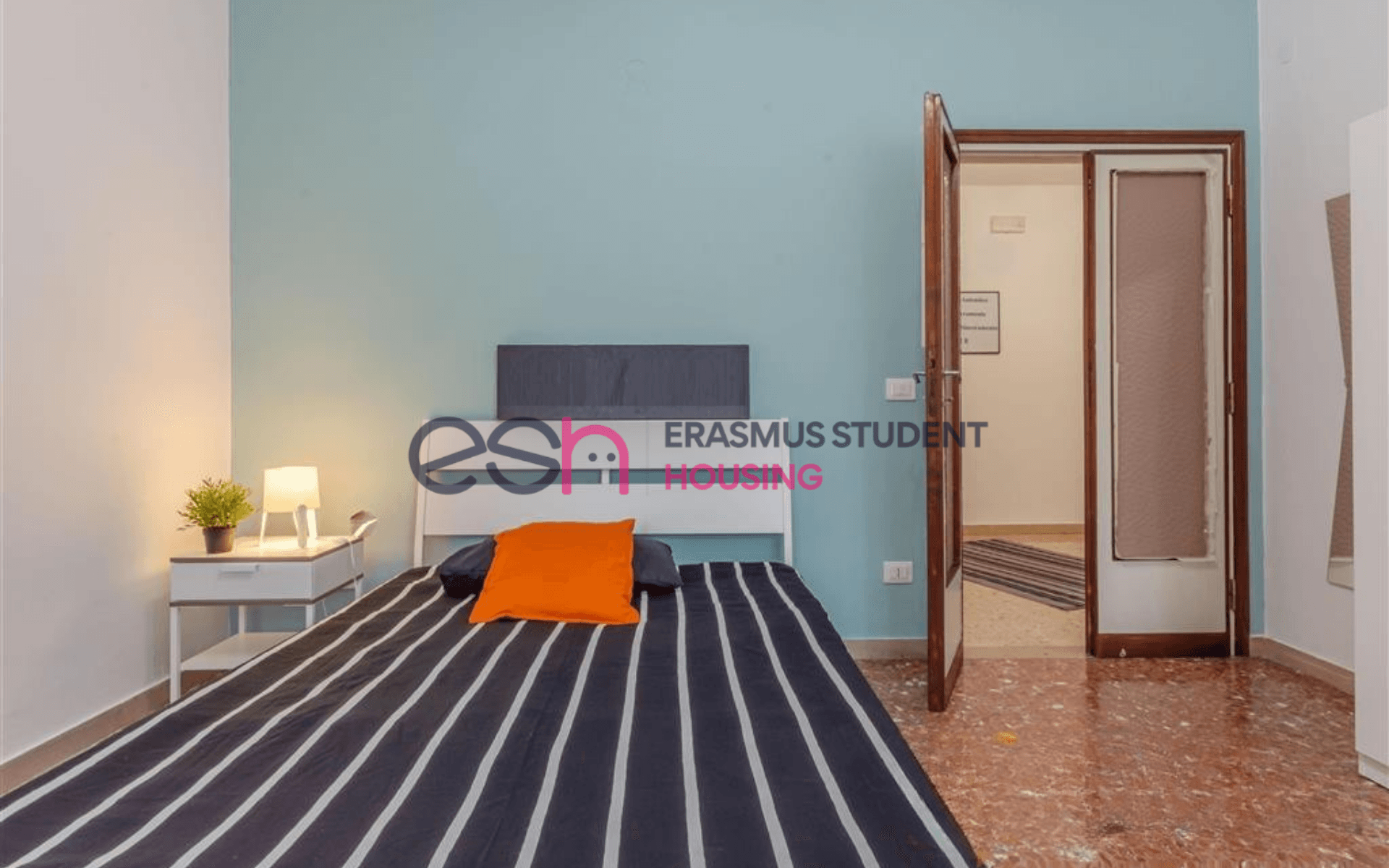 Shared Room in Pisa photo 3