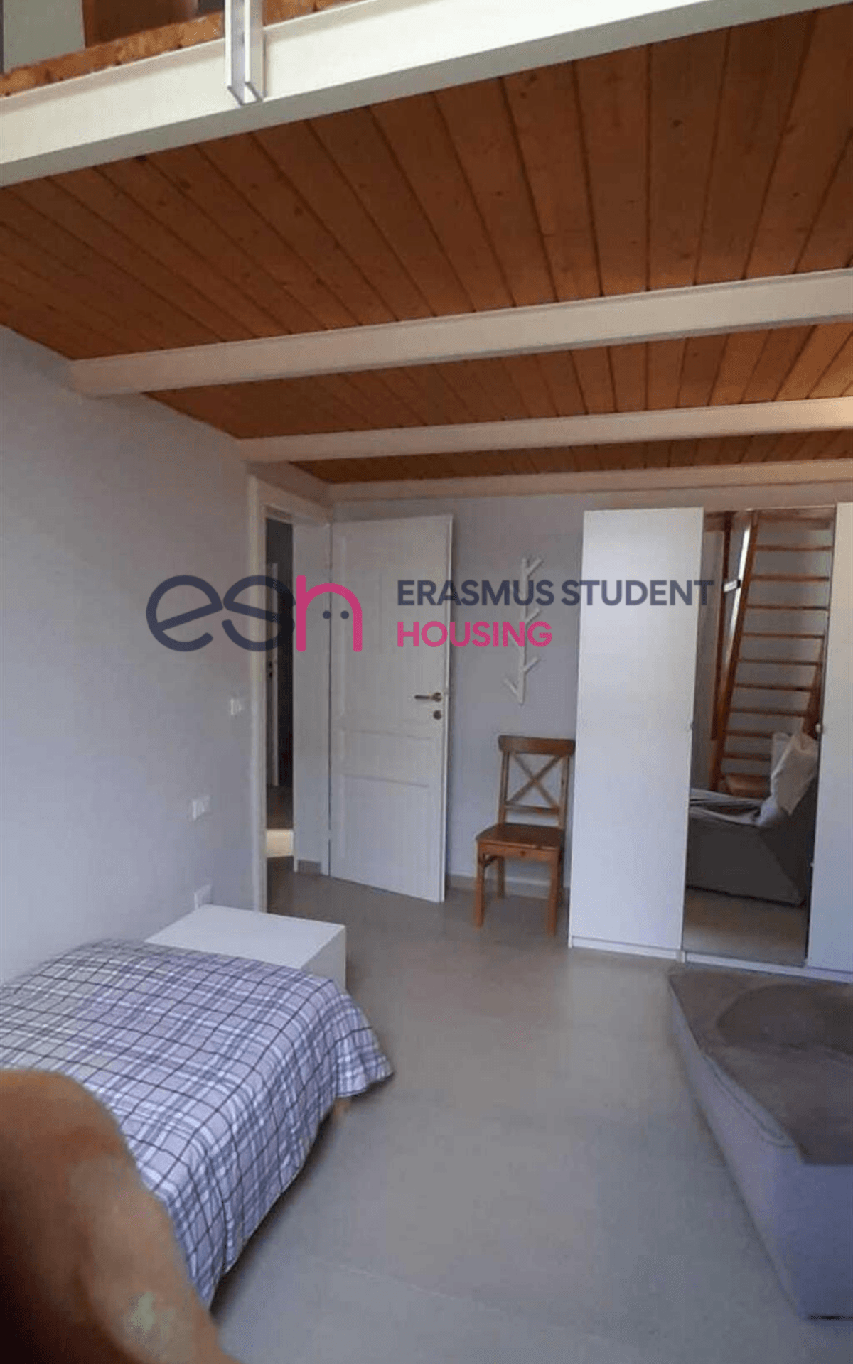 Shared Room in Pisa photo 2