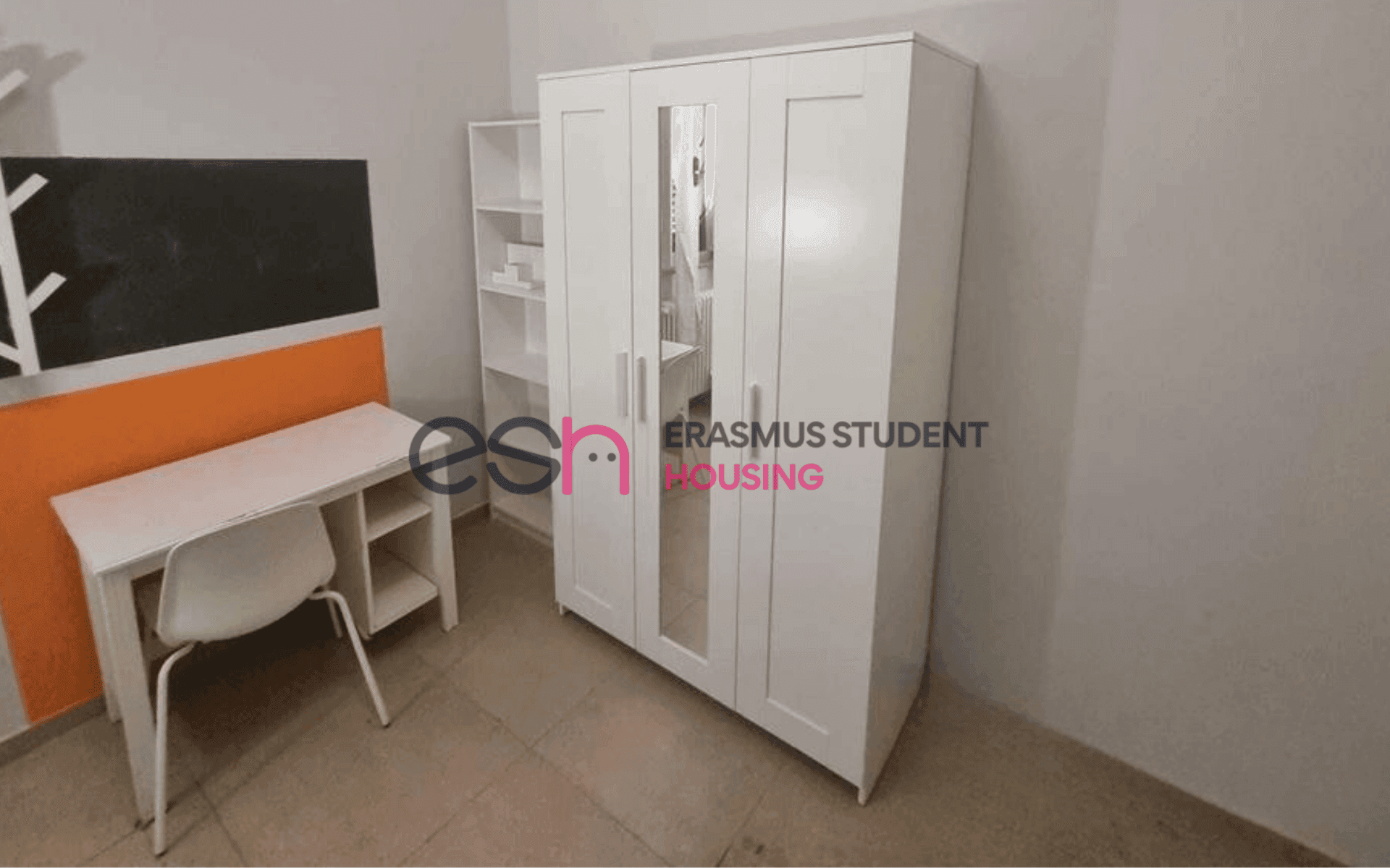 Shared Room in Pisa photo 2