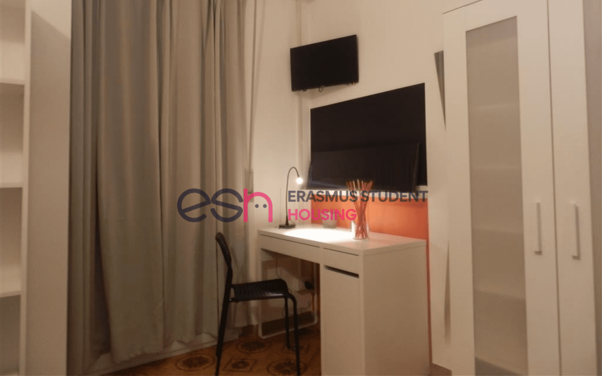 Shared Room in Pisa photo 4