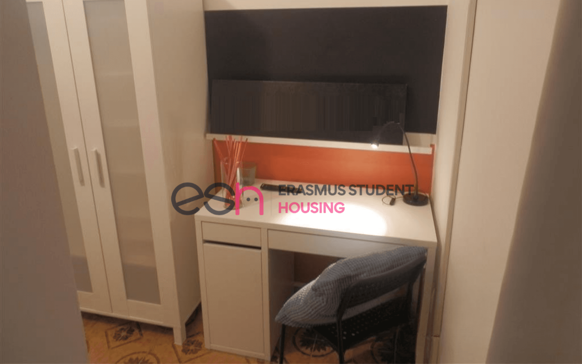 Shared Room in Pisa photo 3