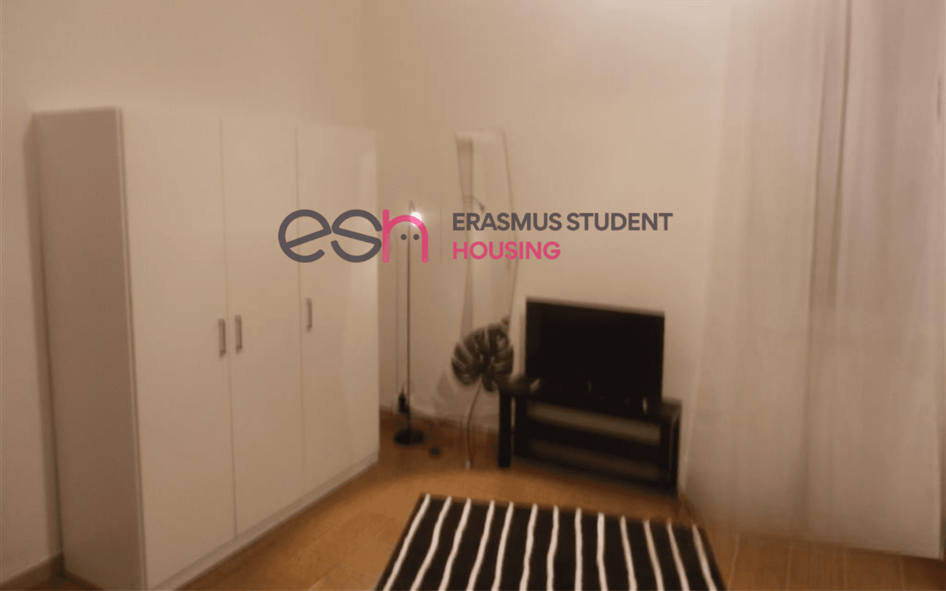 Shared Room in Pisa photo 3