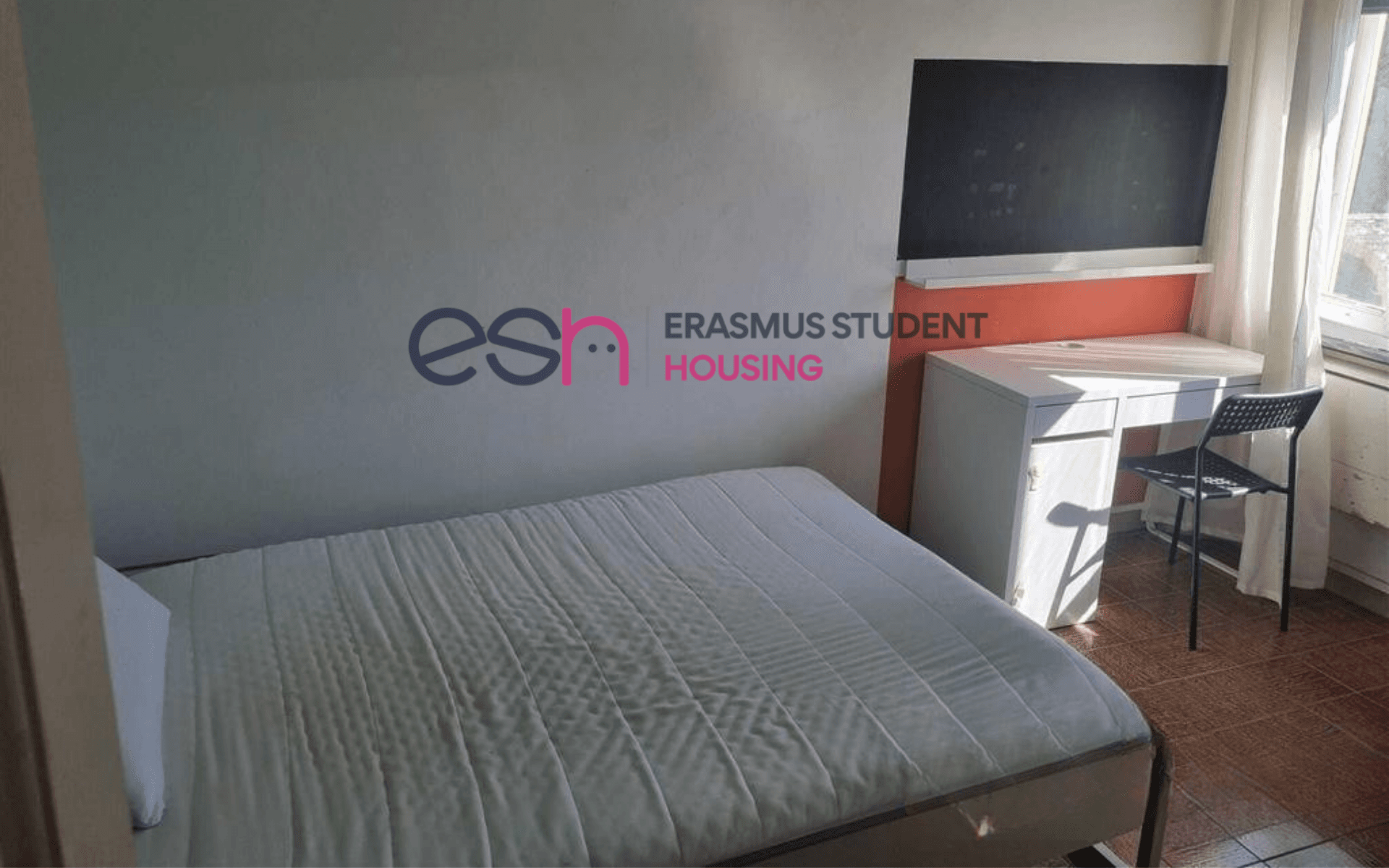 Private Room in Pisa photo 3