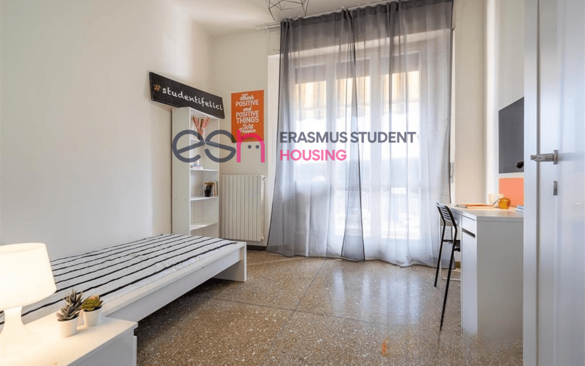 Shared Room in Pisa photo 4