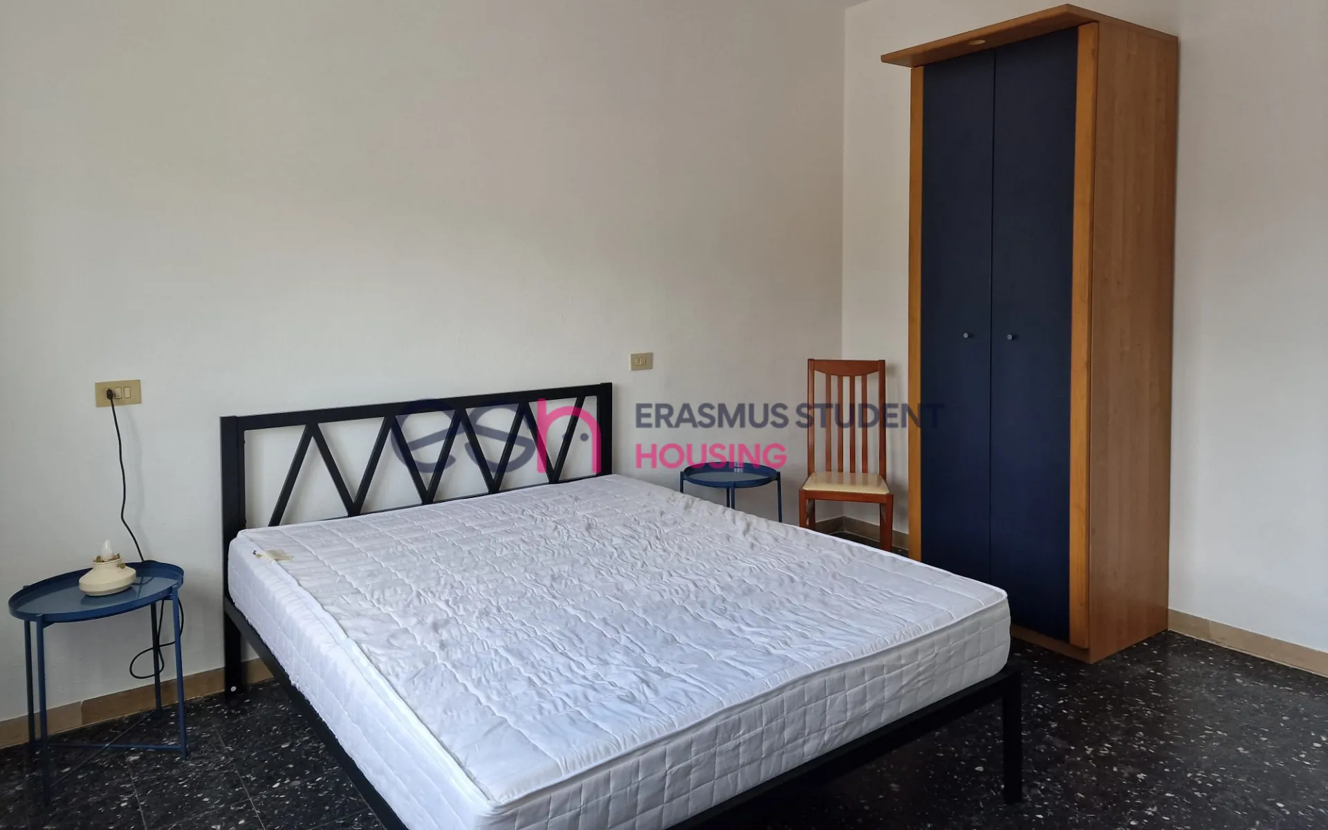 Shared Room in Pisa photo 2