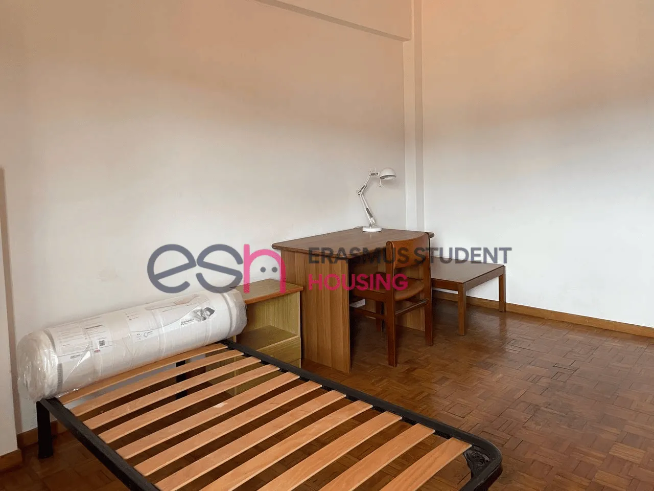 Shared Room in Pisa photo 2