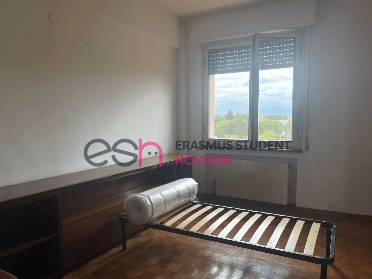 Private room in Pisa photo 5