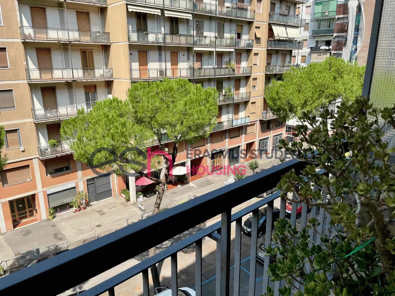 Private room in Florence photo 2