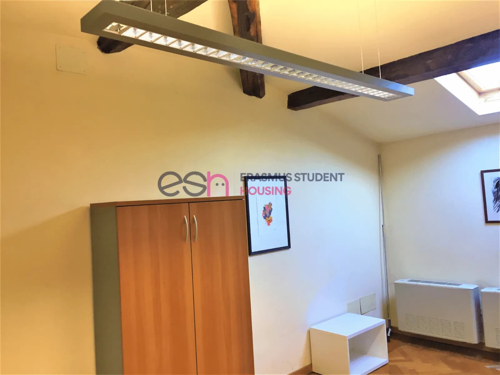 Private room in Florence photo 3