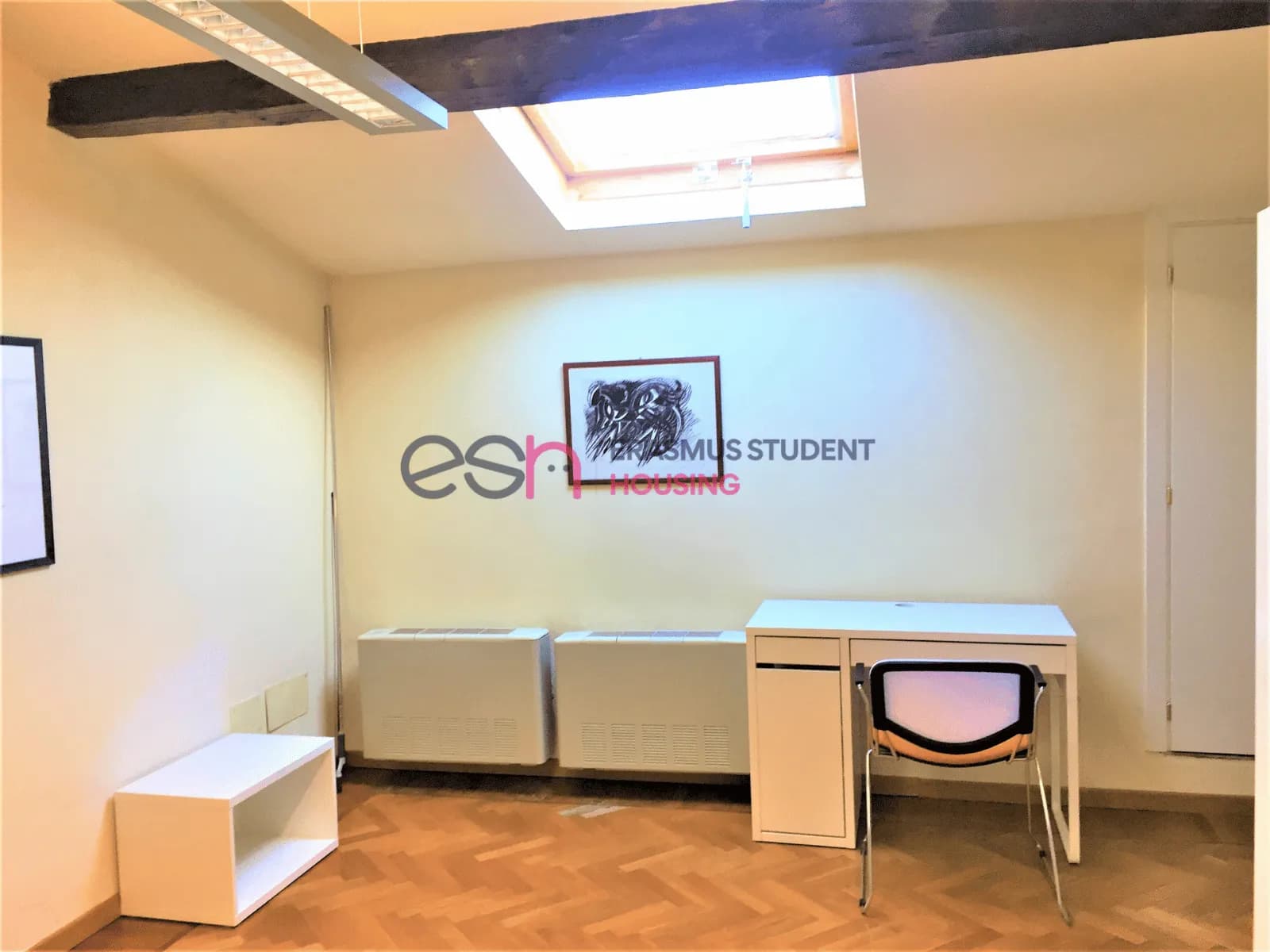 Private room in Florence photo 2