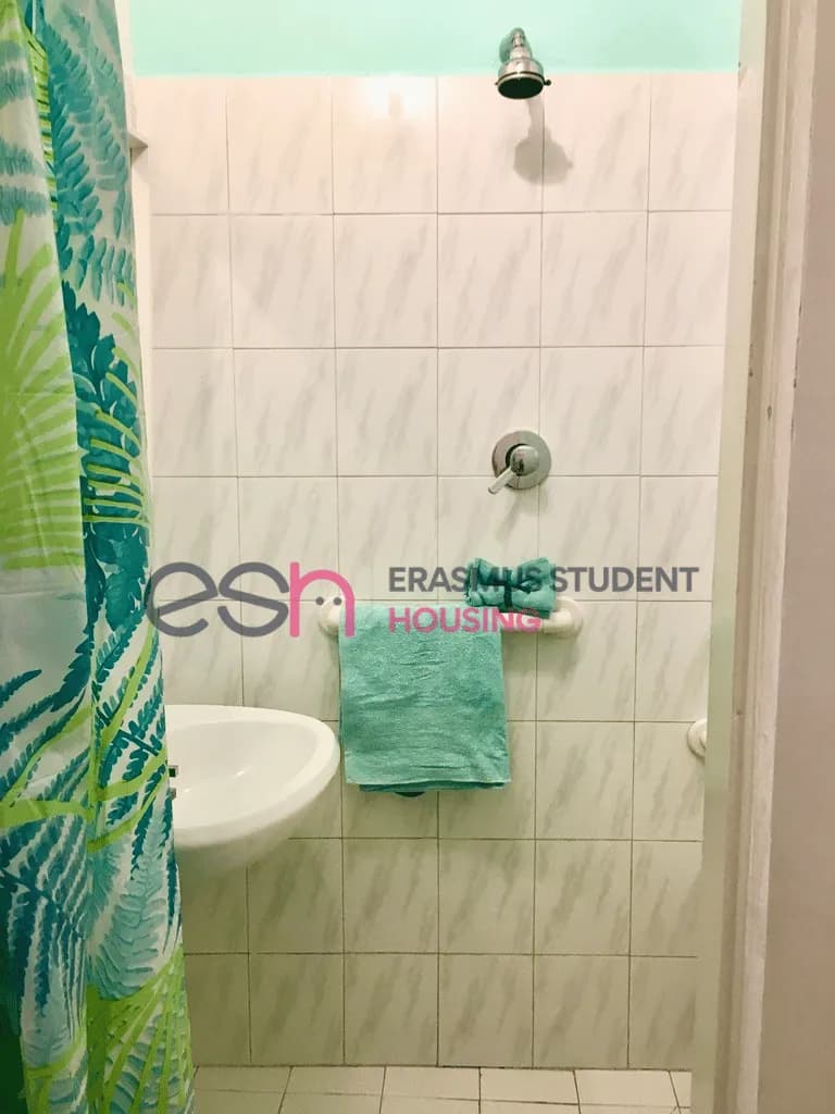 Private room in Florence photo 4