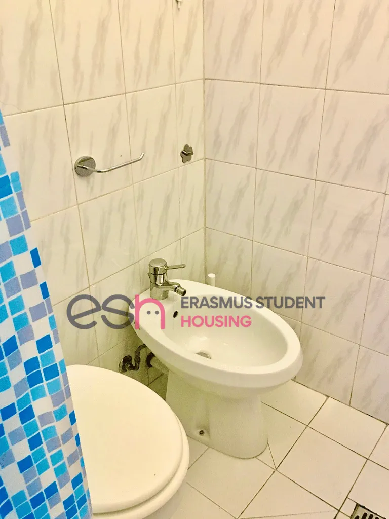 Private room in Florence photo 5