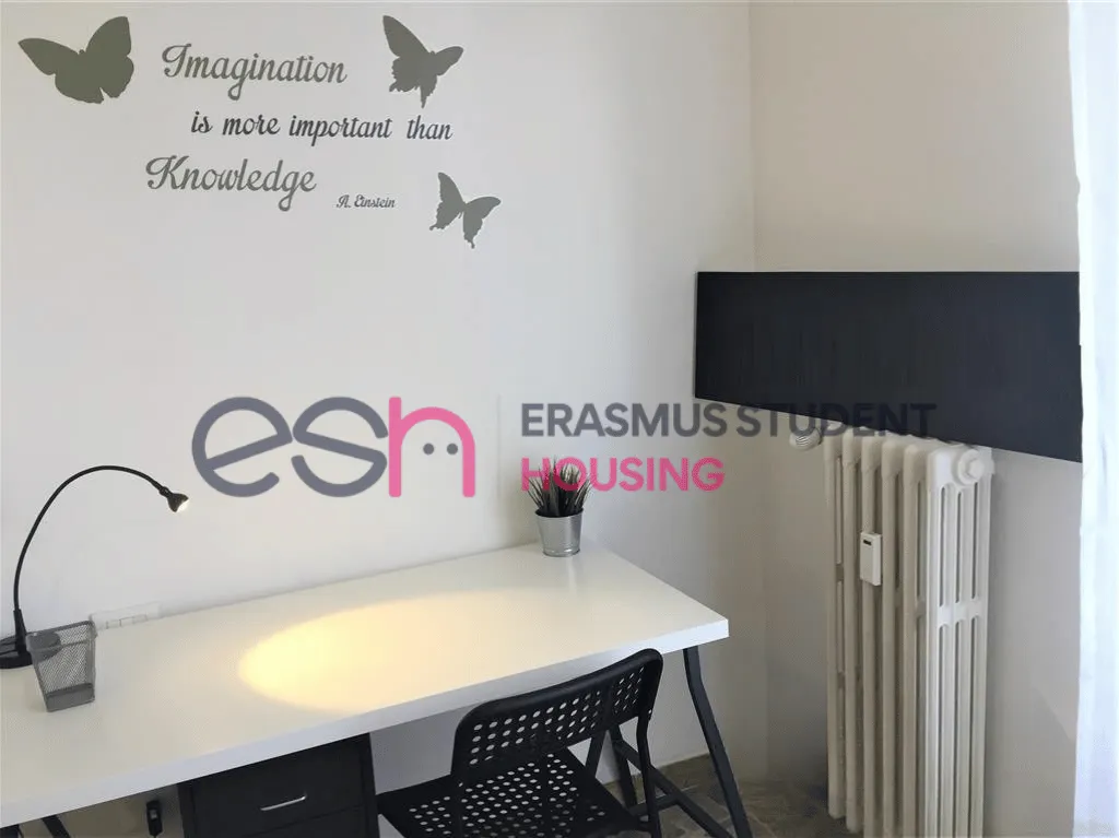 Private room in Florence photo 2