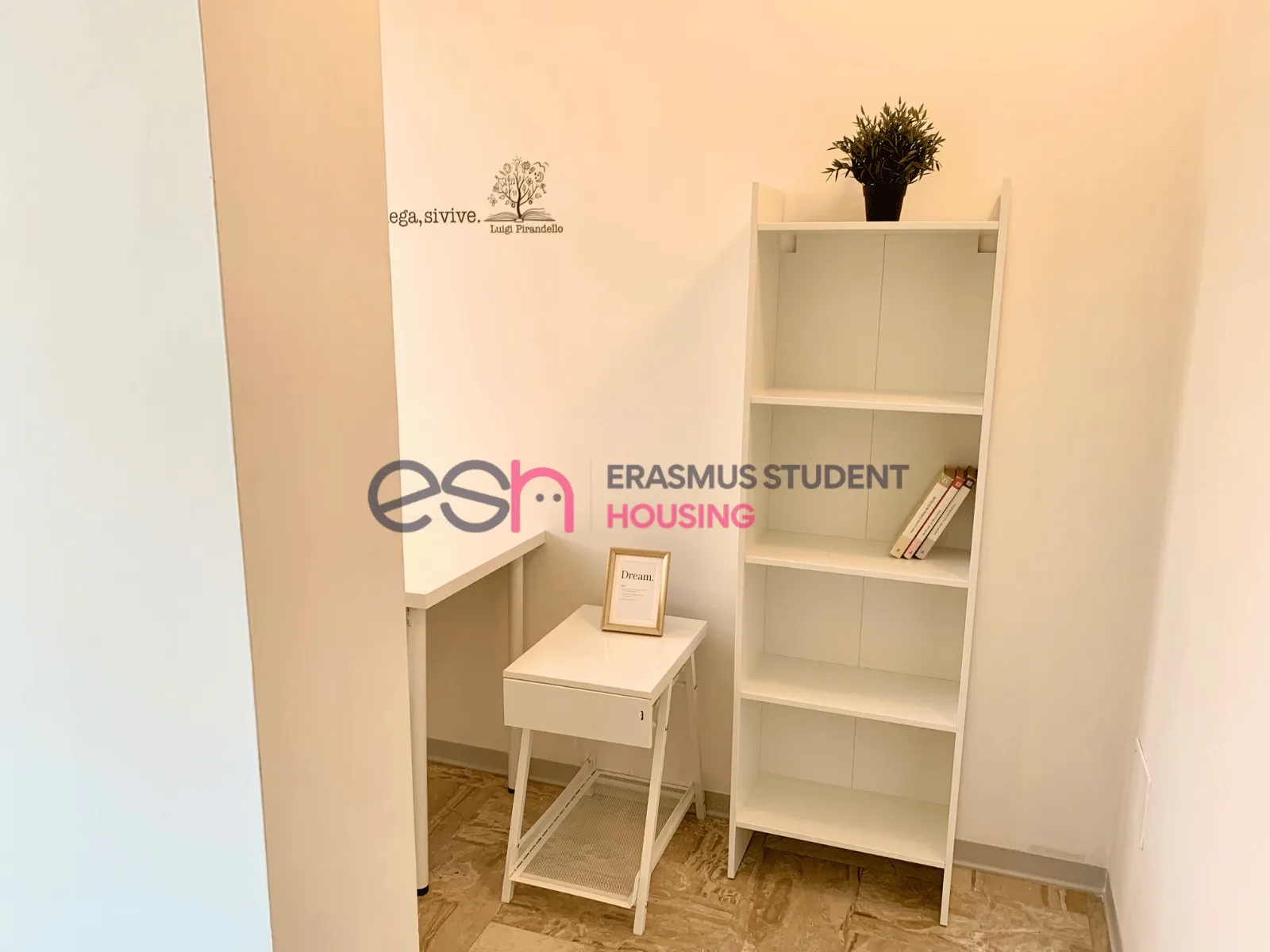 Private room in Florence photo 4