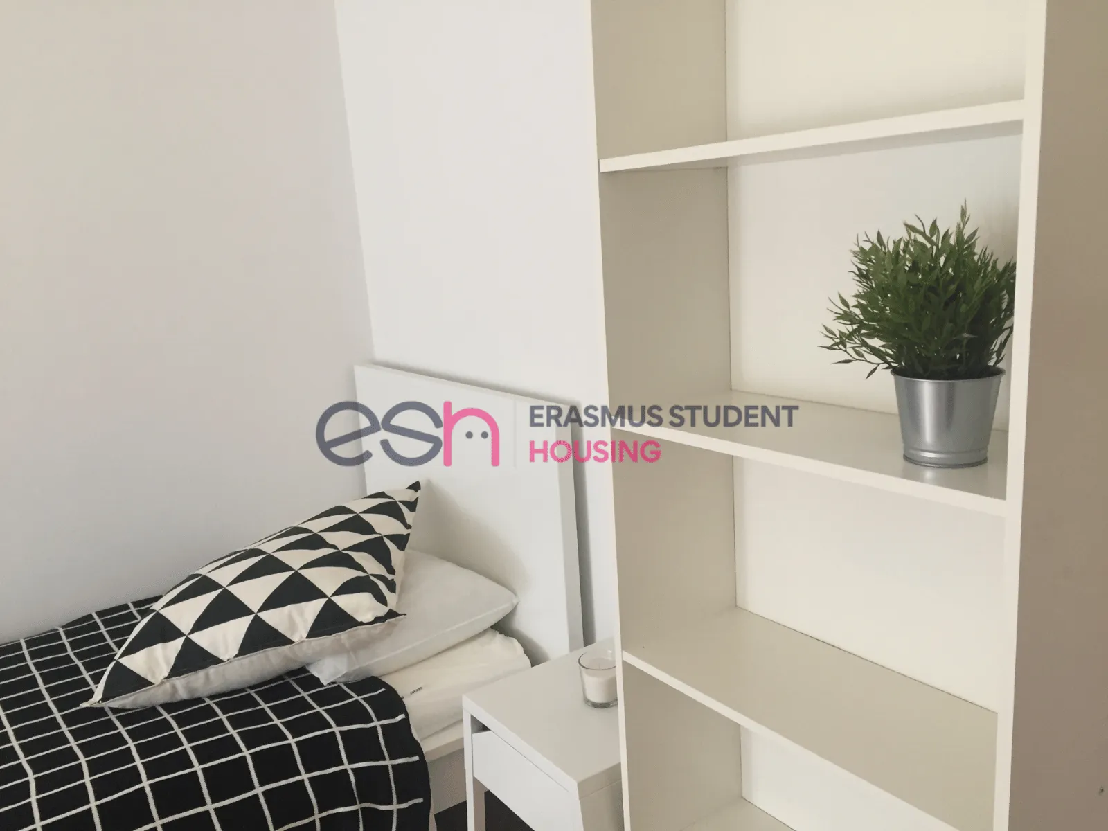 Private room in Florence photo 3