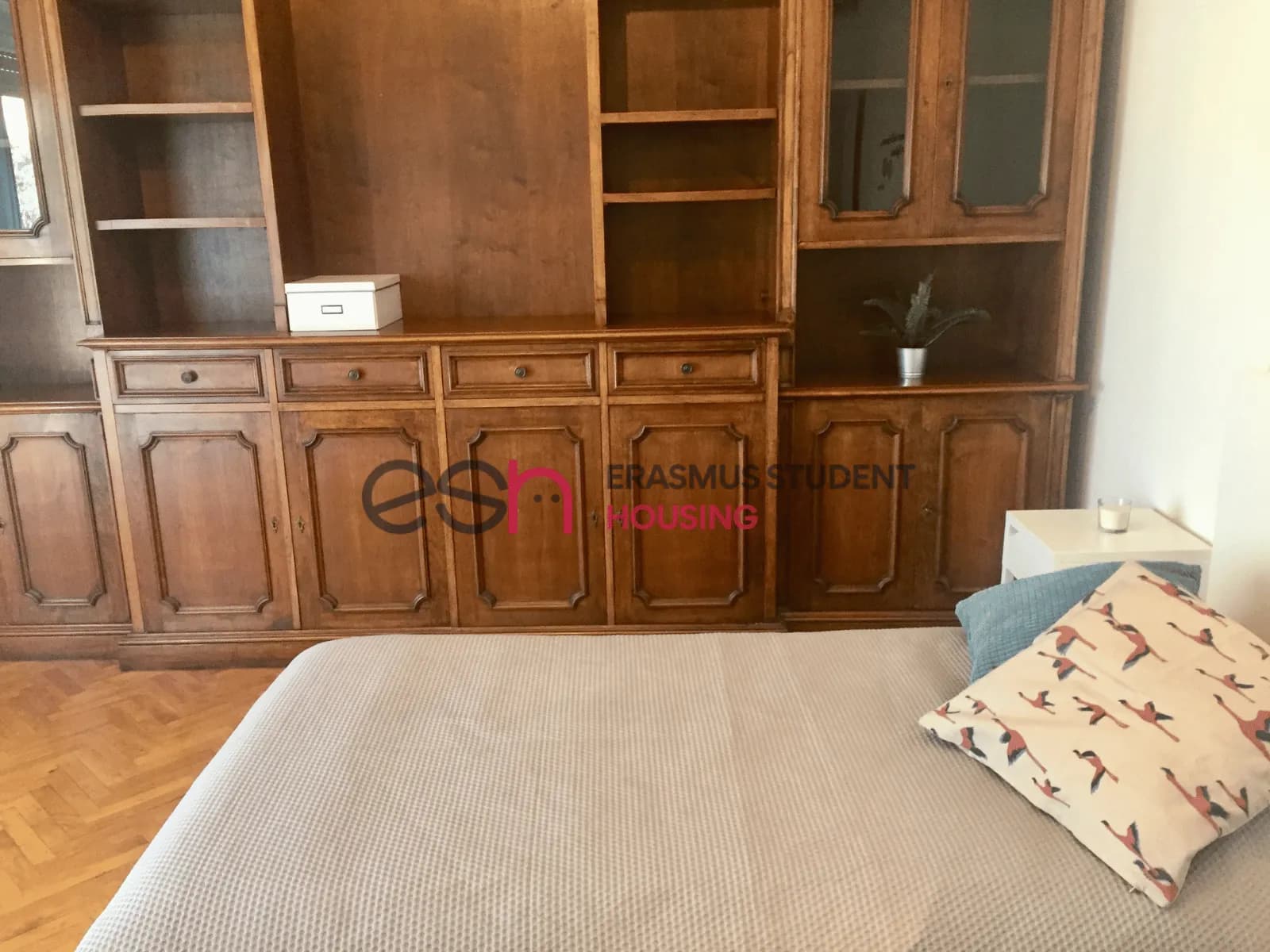 Private room in Florence photo 5