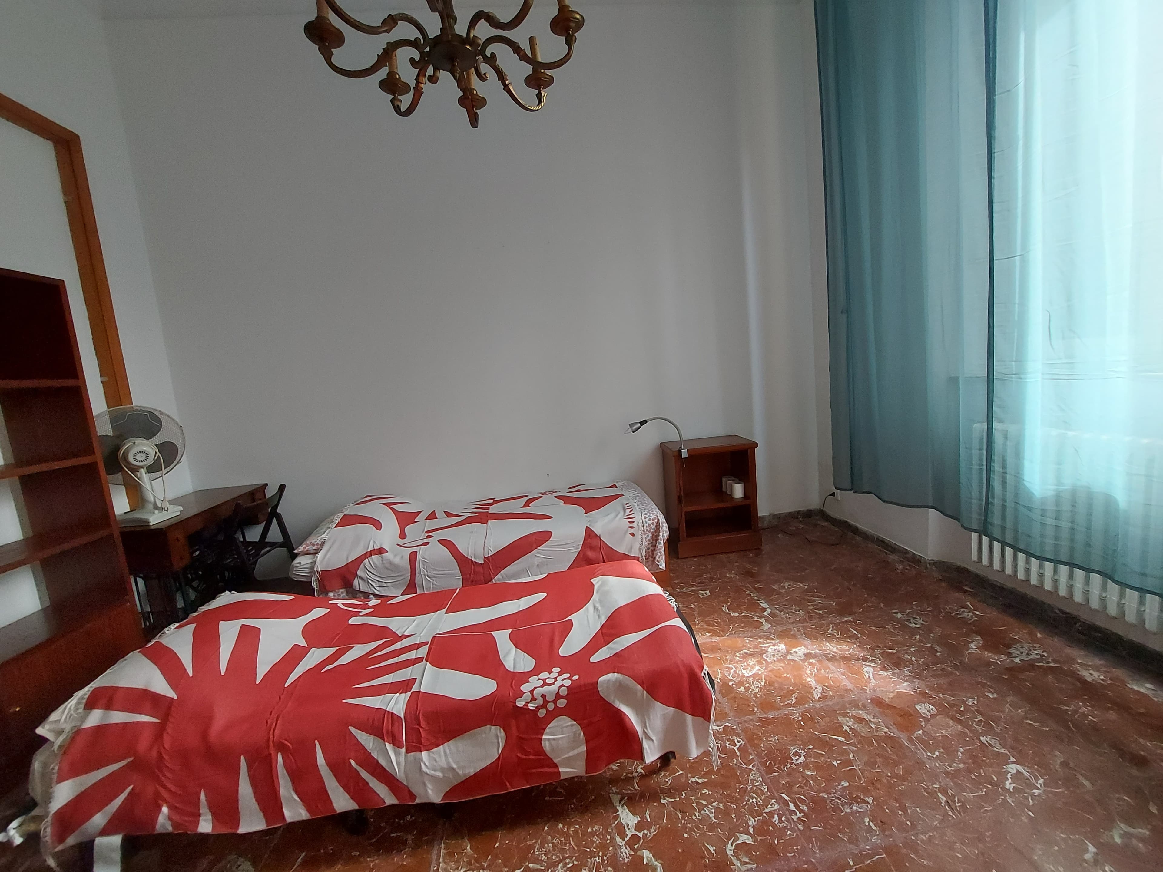 Shared Room in Pisa photo 4