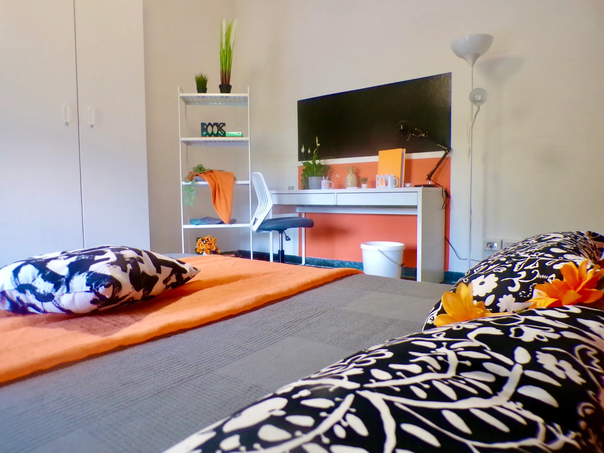 Private room in Bologna photo 4