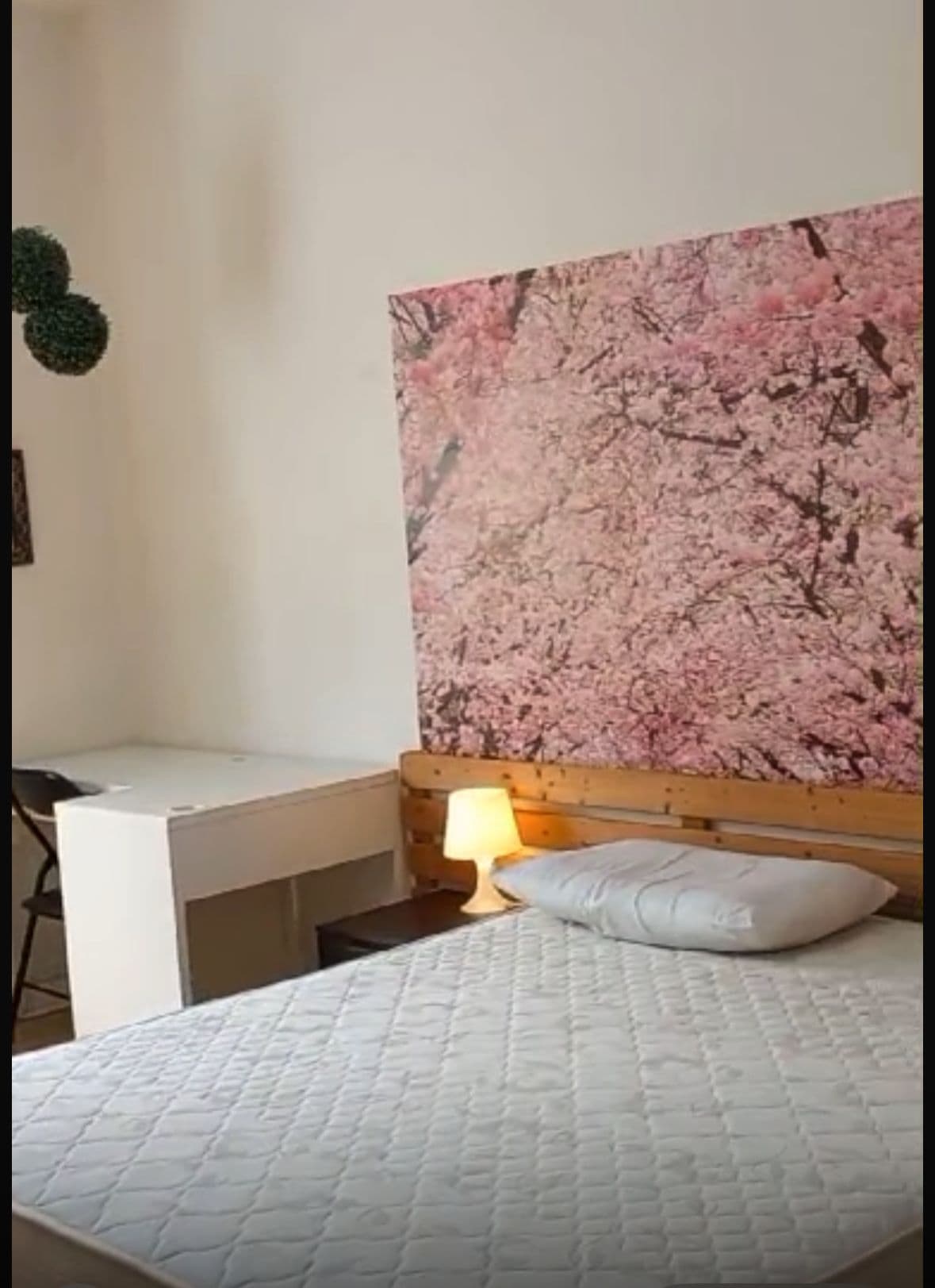 Shared Room in Pisa photo 5